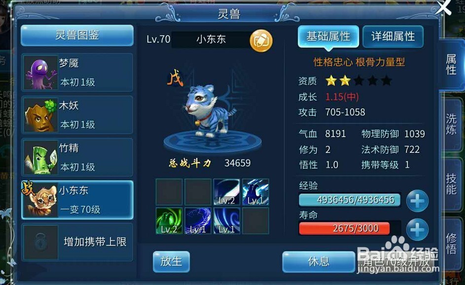 小虎咪怎么加点