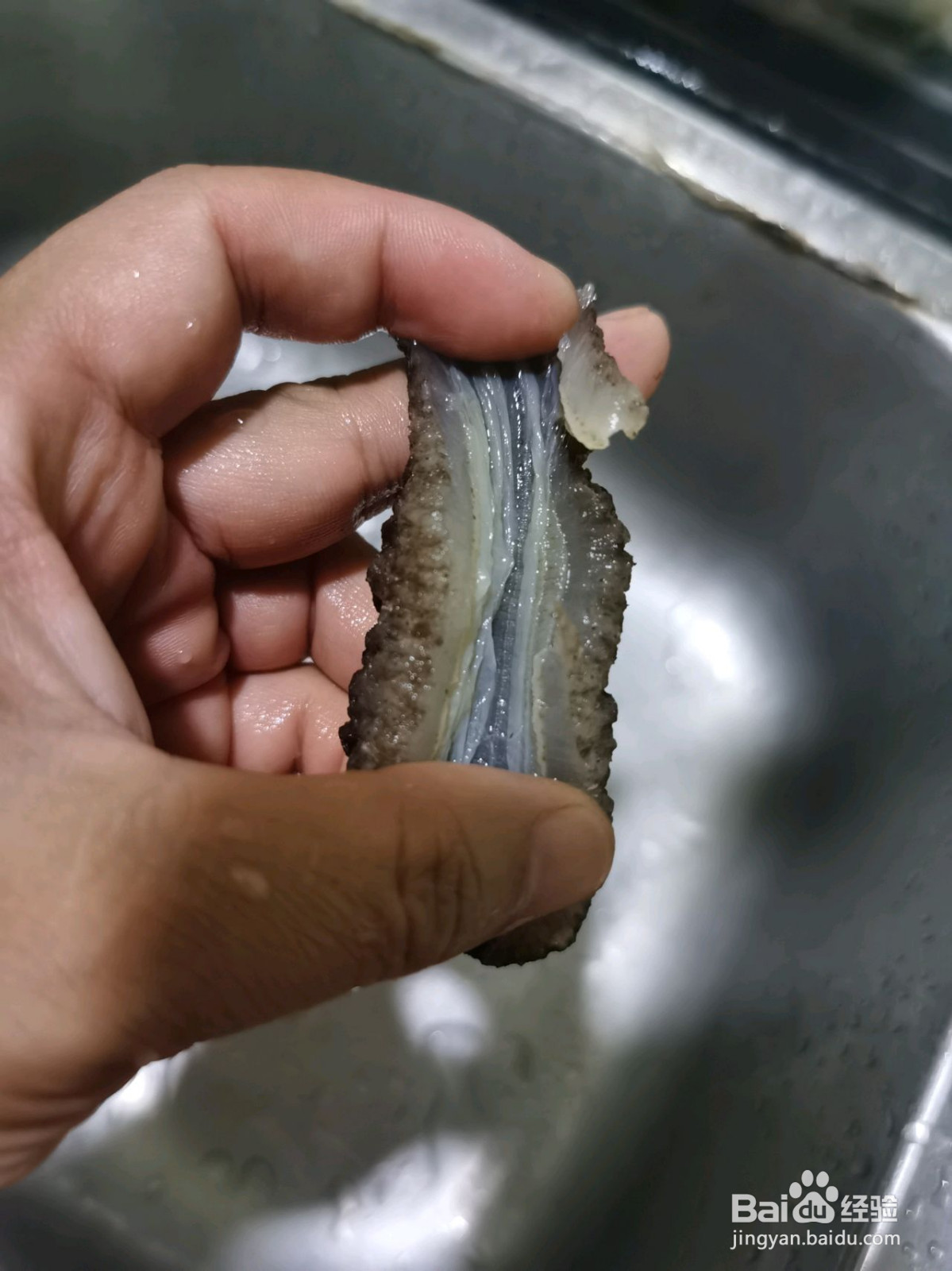 垂涎欲滴小米海参粥的做法