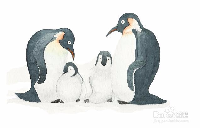 男生第一次去女生家需要注意哪些问题？