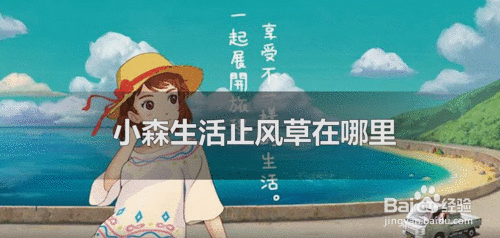 小森生活止风草在哪里?