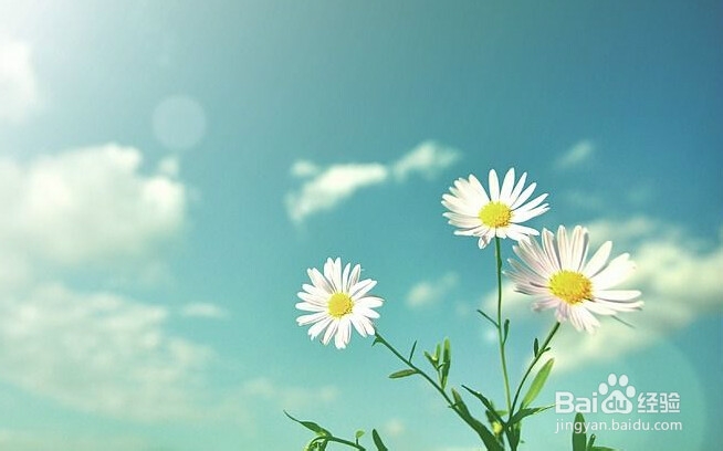 你说，去哪里享受一下阳光呢？