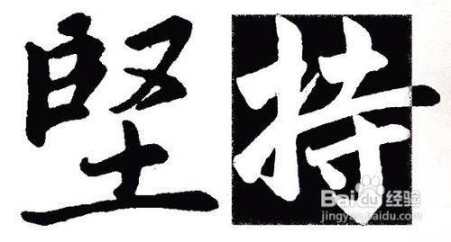 执业兽医考试怎么复习