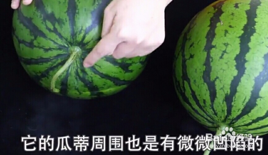 如何挑选又甜又新鲜的西瓜？