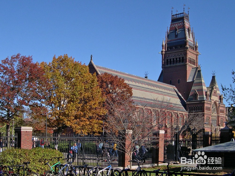 申请论文要用何种语言风格