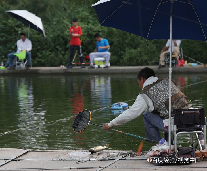 春季钓草鱼的最佳方法