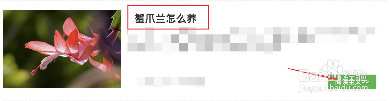 蟹爪兰怎么养