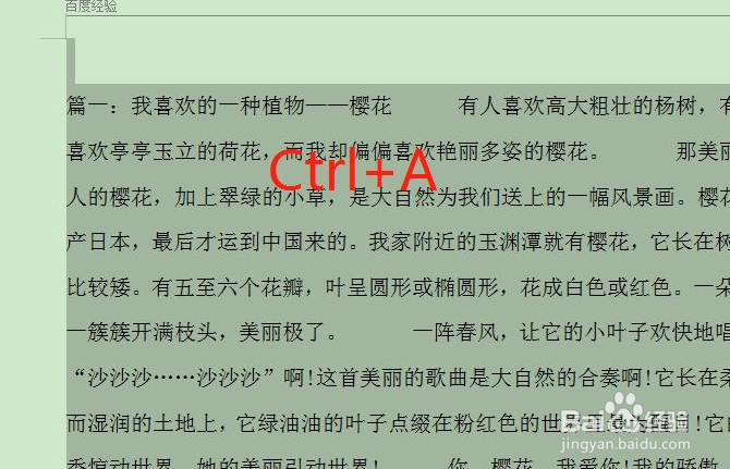 文档怎么全选文字