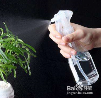 营养液怎么用