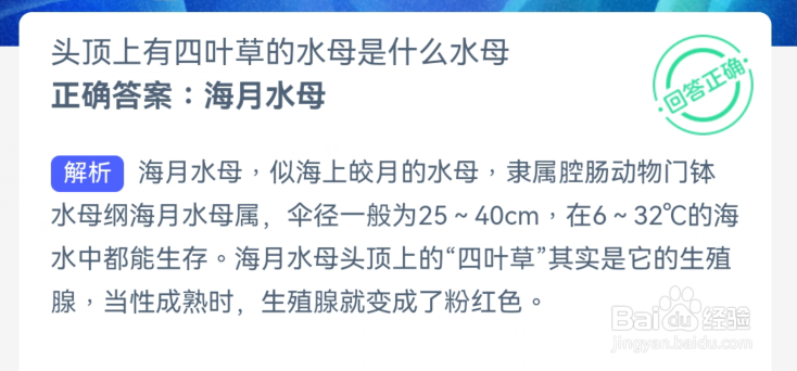 神奇海洋:头顶上有四叶草的水母是什么水母
