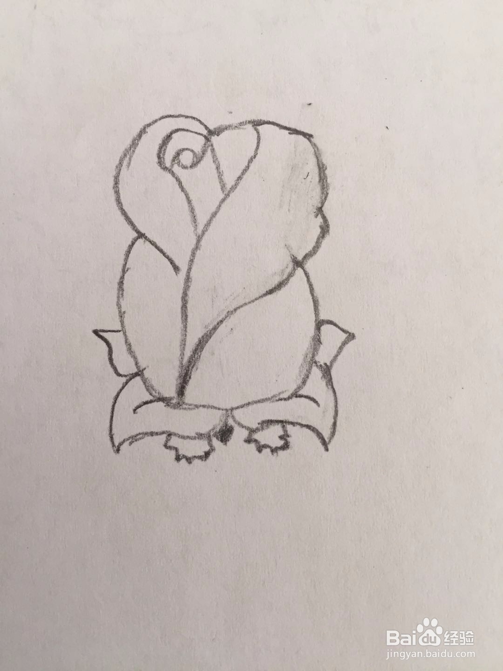 简笔画玫瑰花的画法