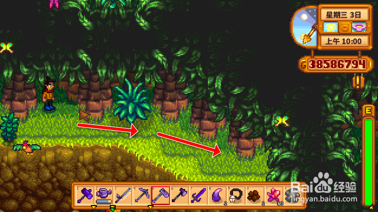 星露谷物语火山矿洞旁的核桃怎么拿