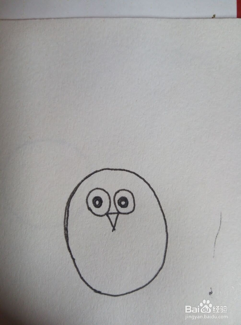 最胖猫头鹰简笔画
