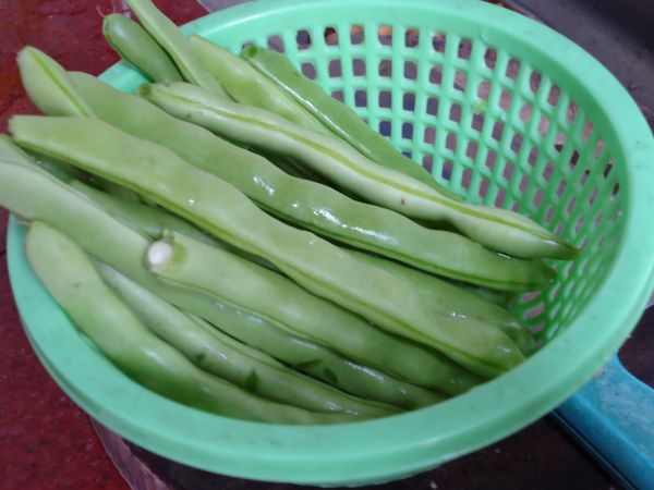 四季豆炒杏鲍菇