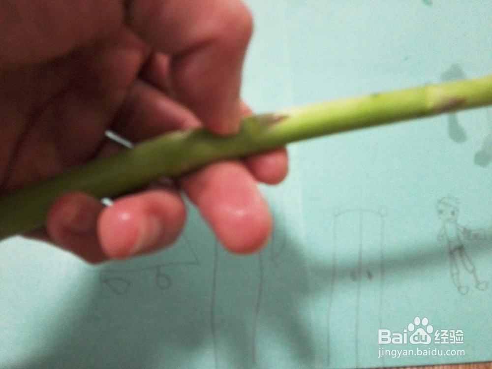 家常菜&瘦肉红椒炒芦笋的做法