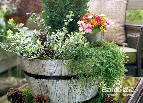 Diy迷你盆栽小花园 百度经验