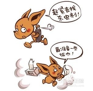 家居生活如何预防和消灭蟑螂