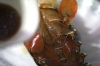 清蒸龙虾的做法