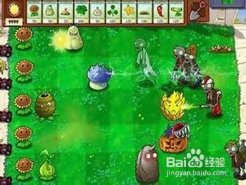 植物大战僵尸2地攻略