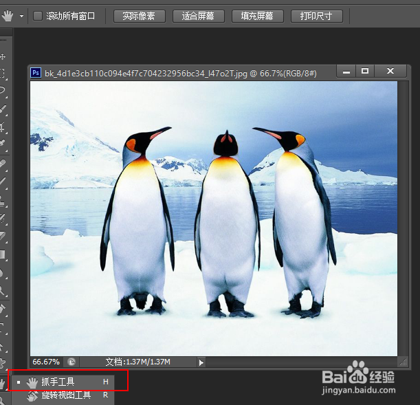 PhotoShop初学者之抓手工具