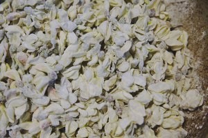 槐花拨烂子的做法