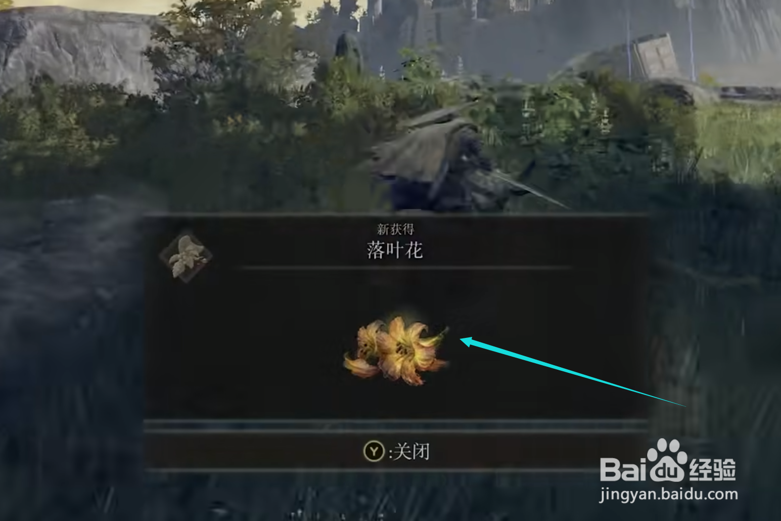 艾尔登法环落叶花怎么获得