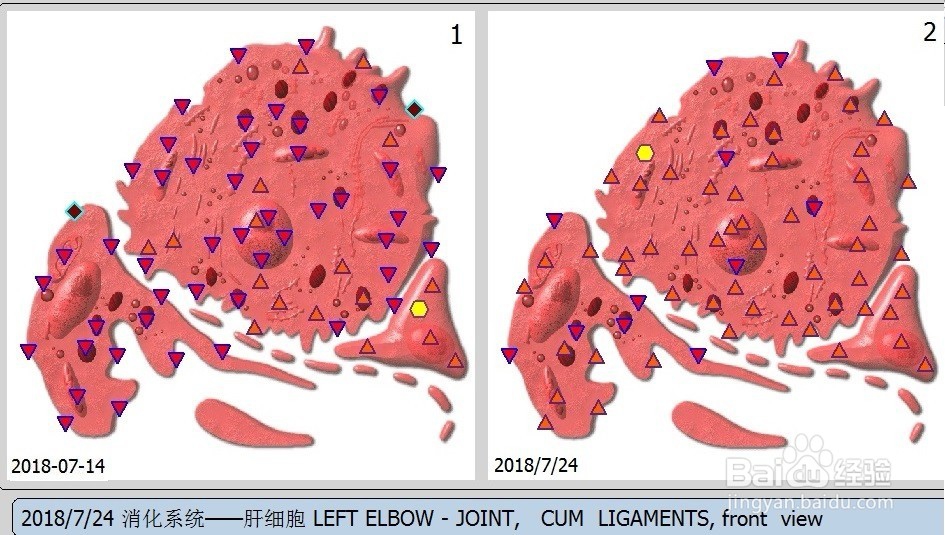 肝病那治的好, 吃保健品有用吗?
