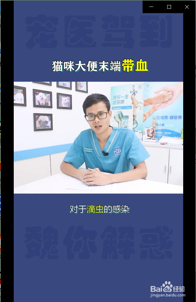 猫咪大便末端带血是什么情况