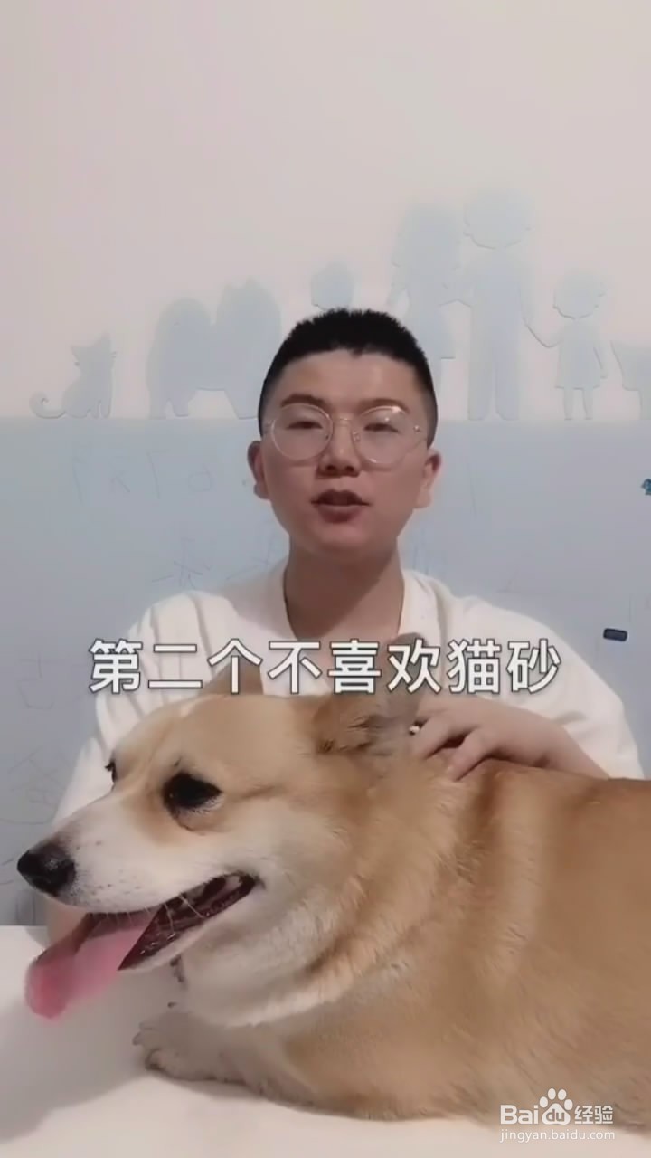 猫咪为什么乱拉乱尿