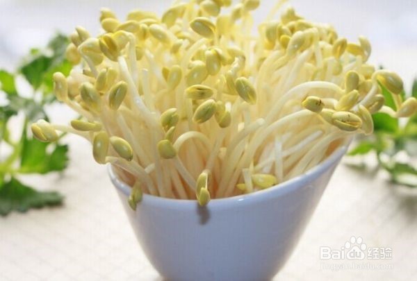 春季“护肝”蔬菜