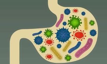 宝宝是否需要补充益生菌呢？