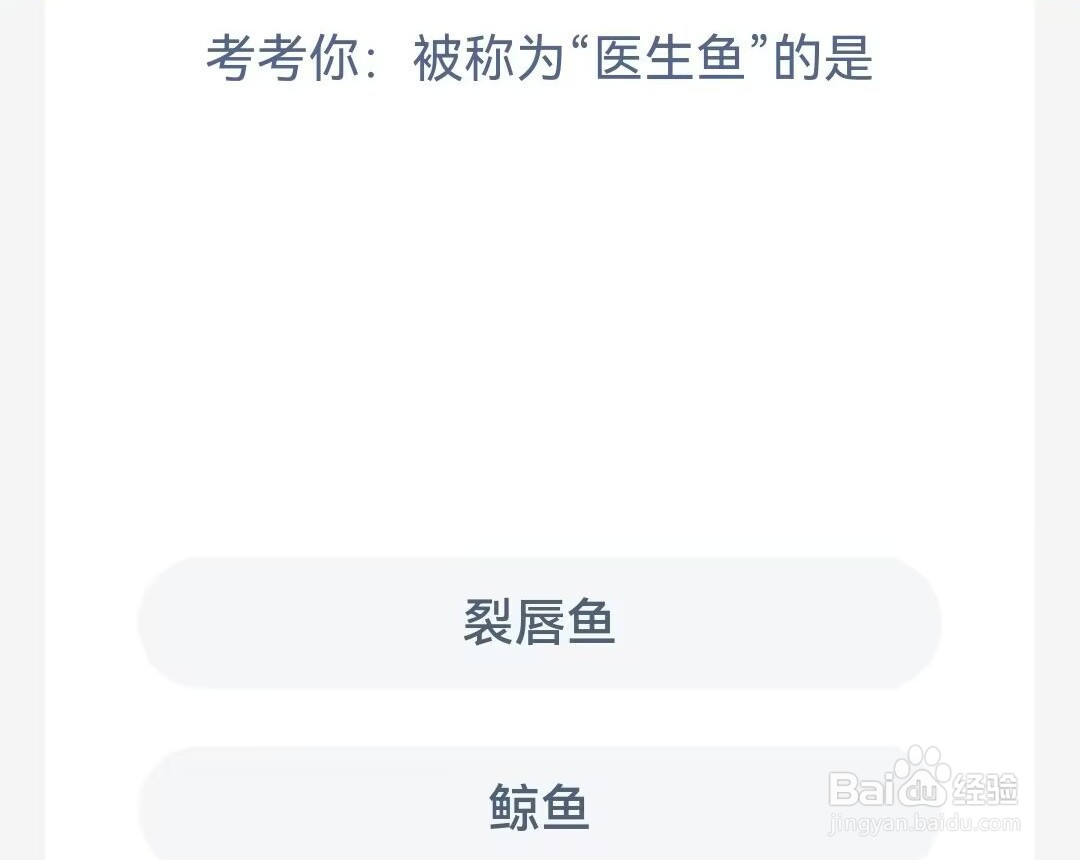 神奇海洋考考你被称为医生鱼的是