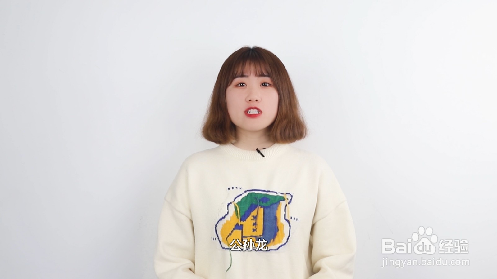 白马非马是谁提出的