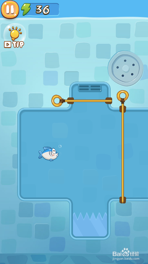 A Wise Fish的Level 10怎样通关?