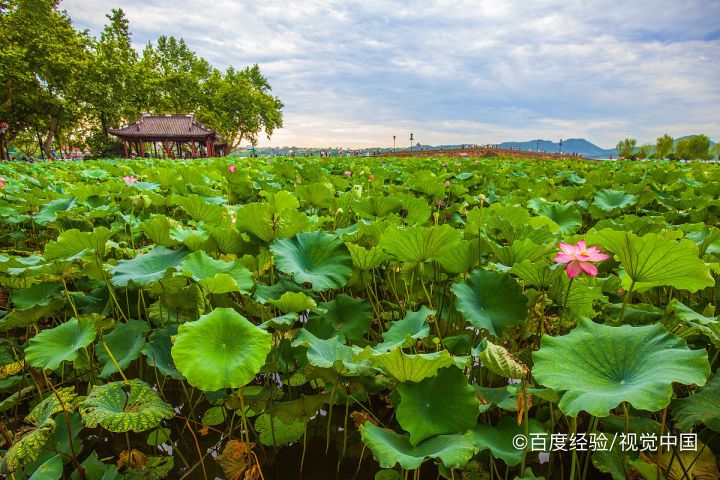 中国民间数九中的每一九都是怎么算的