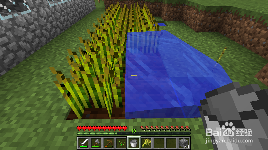 我的世界怎么种小麦