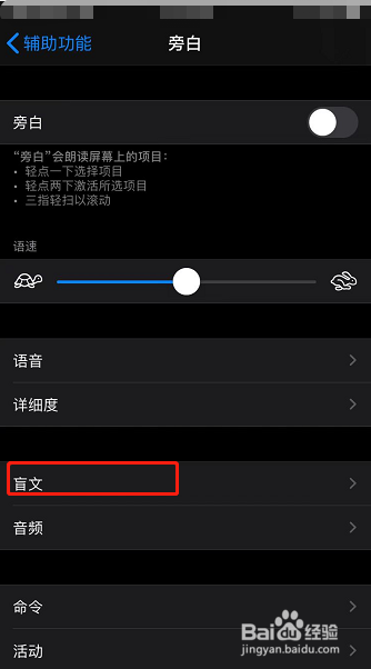 苹果手机怎么设置旁白盲文输入自动翻译功能