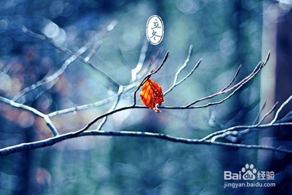 冬至进补注意事项