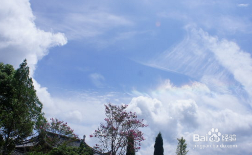 告诉你虚拟运营商亏损，为什么小米还要做？