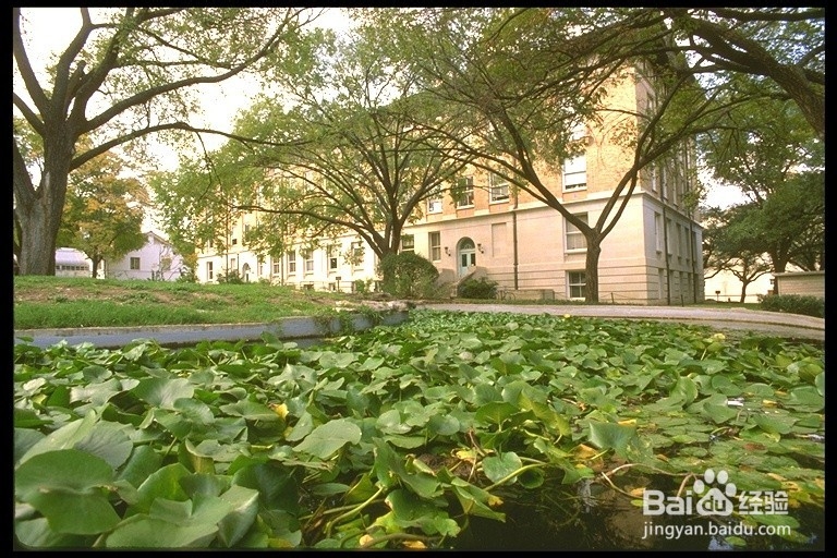 2014最受中国学生欢迎的10大美国院校
