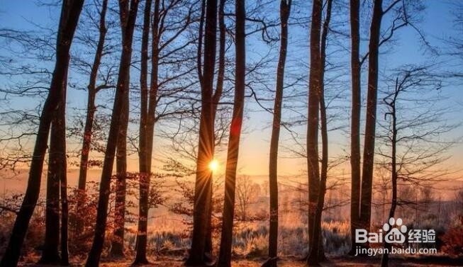 如何用摄影诠释被摄主体的“点、线、面”关系？