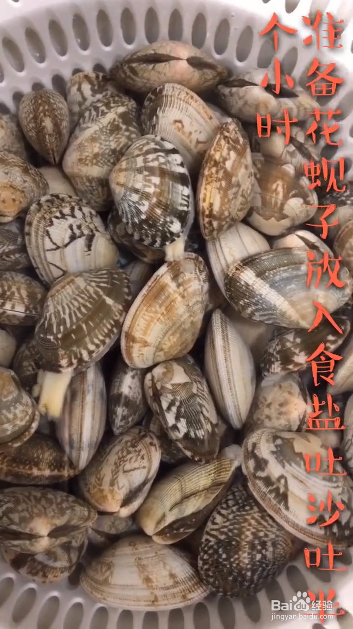 如何自制好吃美味的辣炒花甲