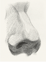 如何画好素描头像三