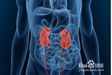 如何预防肾病