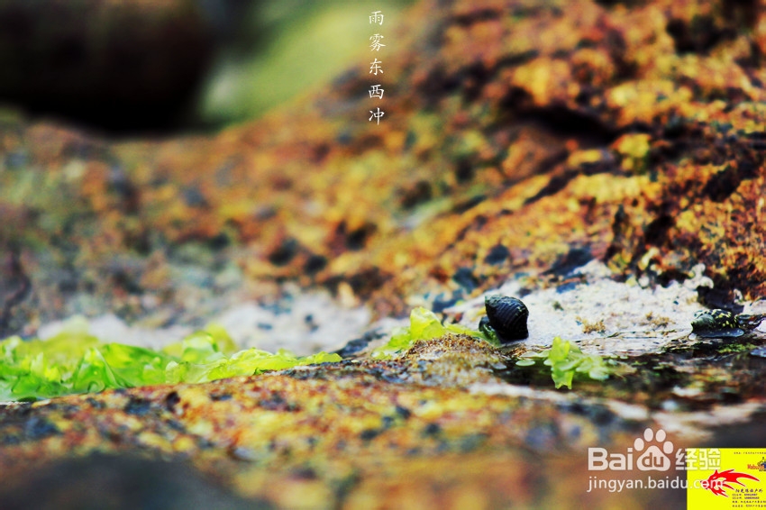 广东最美海岸线之一深圳东西冲穿越露营旅游攻略