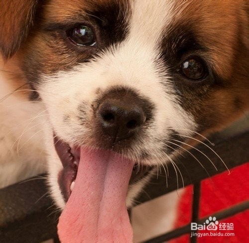 Adobe Photoshop CC 新功能超级防抖滤镜。