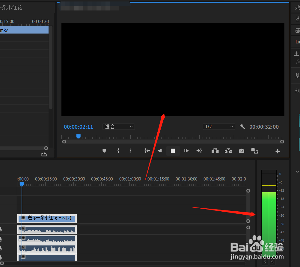 pr导入mp4视频变成音频
