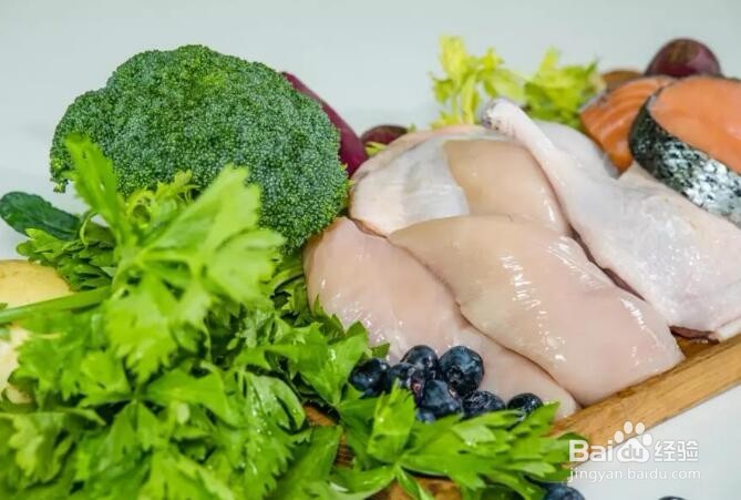 如何从成分标签看狗粮好与坏