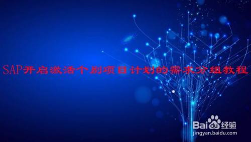 SAP开启激活个别项目计划的需求分组教程