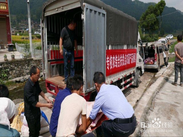 农产品收购发票怎么开具