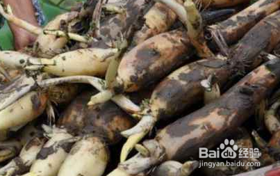 冬季吃莲藕有什么好处